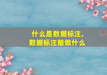 什么是数据标注,数据标注能做什么