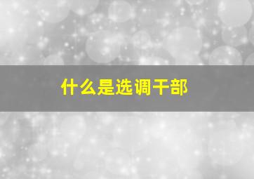 什么是选调干部