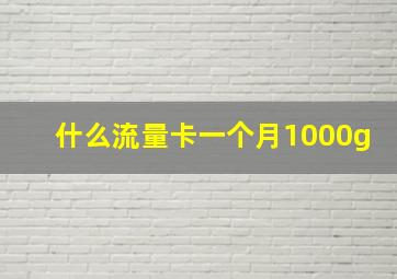 什么流量卡一个月1000g