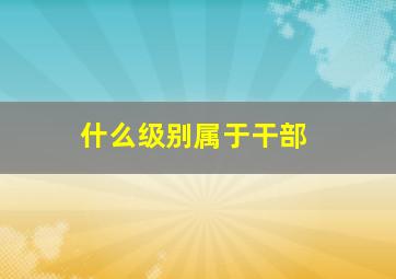 什么级别属于干部