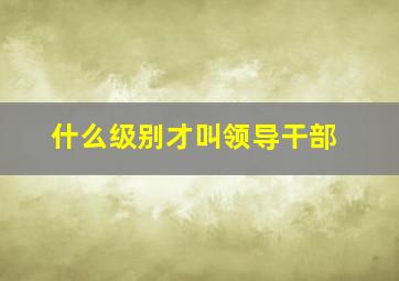 什么级别才叫领导干部