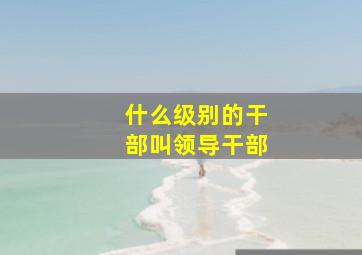 什么级别的干部叫领导干部