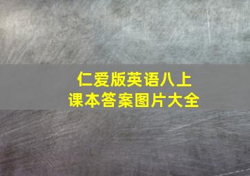 仁爱版英语八上课本答案图片大全