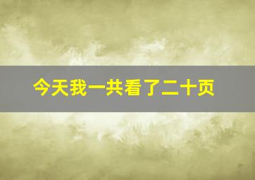 今天我一共看了二十页