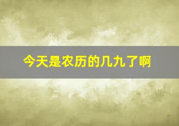 今天是农历的几九了啊