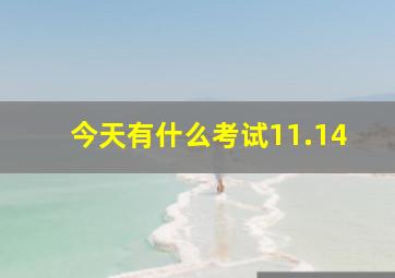 今天有什么考试11.14