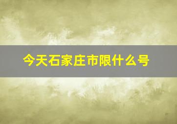 今天石家庄市限什么号