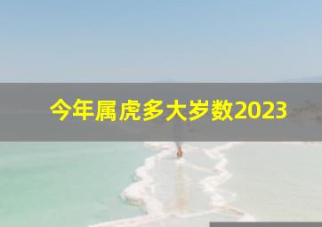 今年属虎多大岁数2023