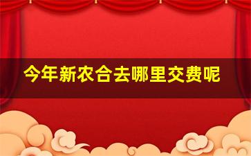 今年新农合去哪里交费呢