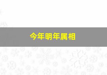 今年明年属相