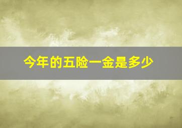 今年的五险一金是多少