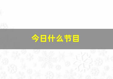 今日什么节目