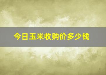 今日玉米收购价多少钱