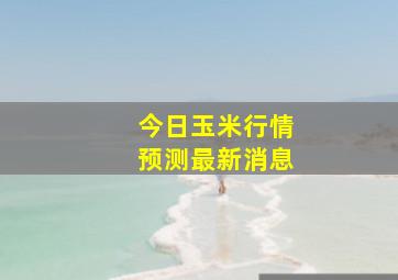 今日玉米行情预测最新消息