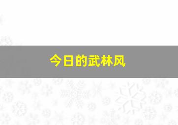 今日的武林风