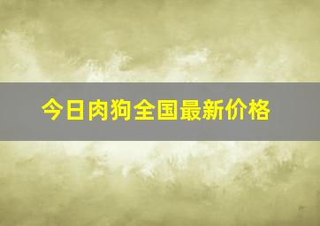 今日肉狗全国最新价格