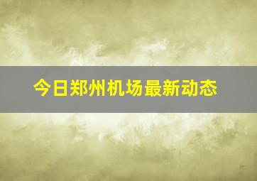 今日郑州机场最新动态