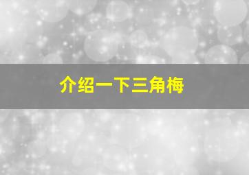 介绍一下三角梅