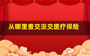 从哪里查交没交医疗保险