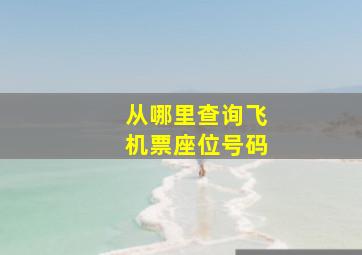 从哪里查询飞机票座位号码