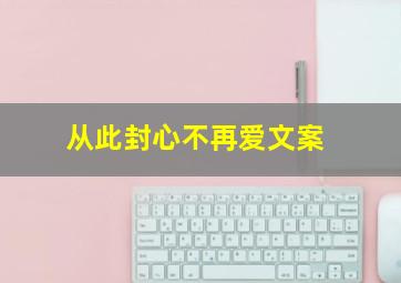 从此封心不再爱文案