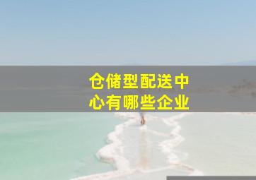 仓储型配送中心有哪些企业