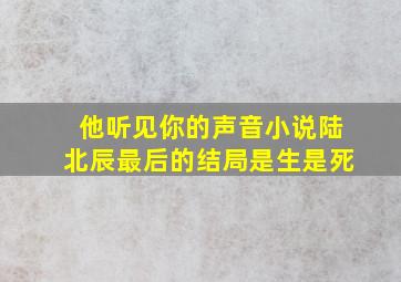 他听见你的声音小说陆北辰最后的结局是生是死