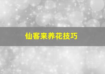 仙客来养花技巧