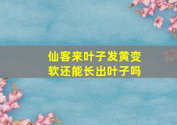 仙客来叶子发黄变软还能长出叶子吗