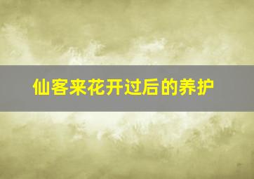 仙客来花开过后的养护