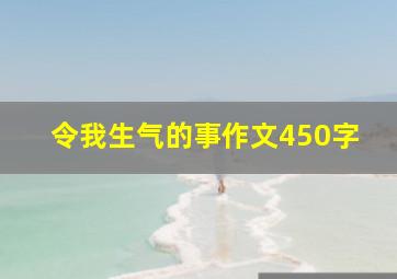 令我生气的事作文450字