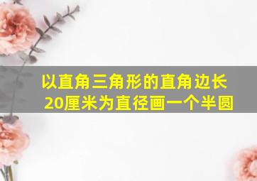 以直角三角形的直角边长20厘米为直径画一个半圆