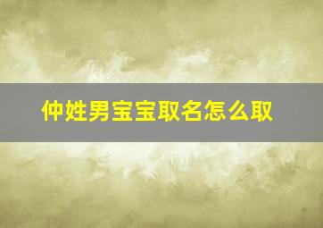 仲姓男宝宝取名怎么取