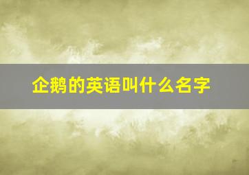 企鹅的英语叫什么名字