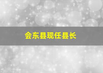 会东县现任县长