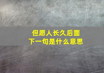 但愿人长久后面下一句是什么意思