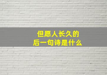 但愿人长久的后一句诗是什么