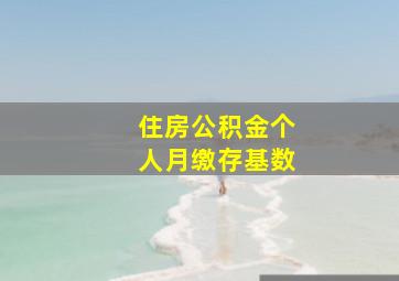 住房公积金个人月缴存基数