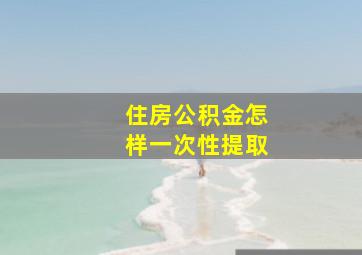 住房公积金怎样一次性提取