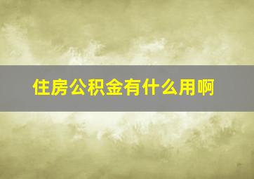 住房公积金有什么用啊