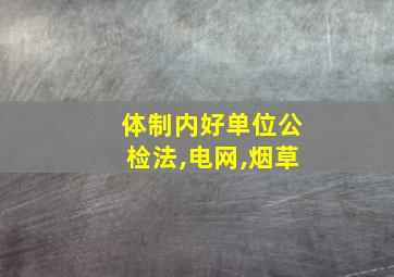 体制内好单位公检法,电网,烟草