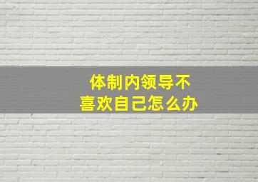 体制内领导不喜欢自己怎么办