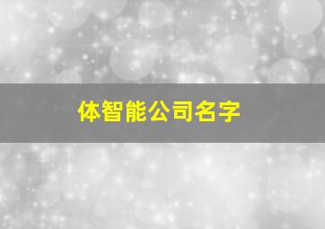 体智能公司名字