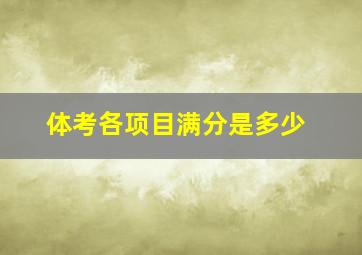 体考各项目满分是多少