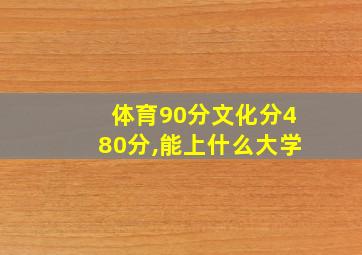 体育90分文化分480分,能上什么大学