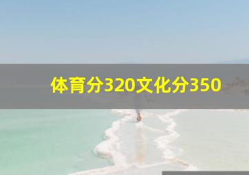 体育分320文化分350