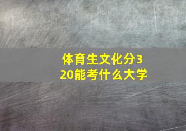 体育生文化分320能考什么大学