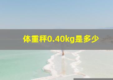 体重秤0.40kg是多少