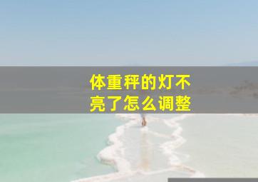 体重秤的灯不亮了怎么调整