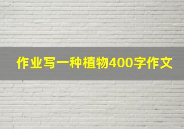 作业写一种植物400字作文